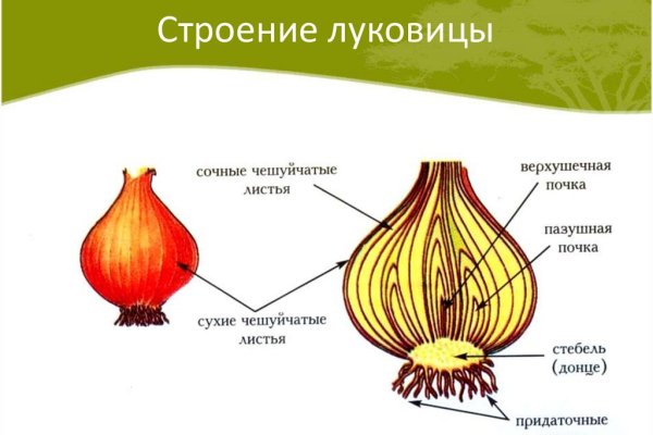 Мега ссылка хыдра клуб онион ком